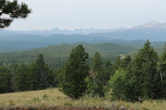 Enlarge photo 121