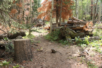 Enlarge photo 126