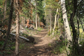 Enlarge photo 134