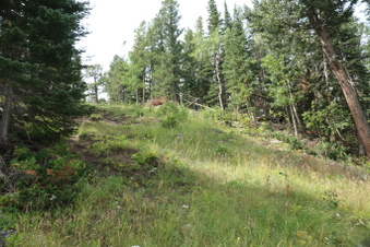 Enlarge photo 135