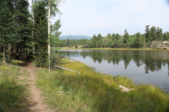 Enlarge photo 136