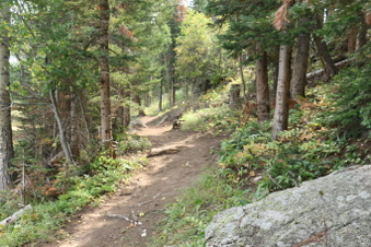 Enlarge photo 142