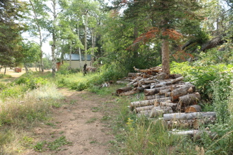 Enlarge photo 143