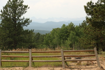 Enlarge photo 207