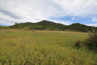 Enlarge photo 8