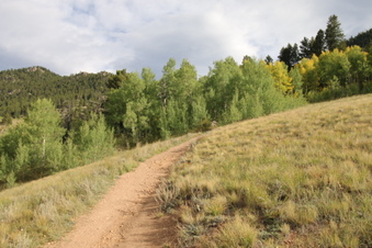 Enlarge photo 8