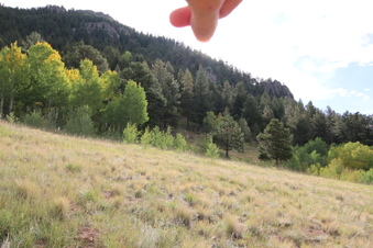 Enlarge photo 10