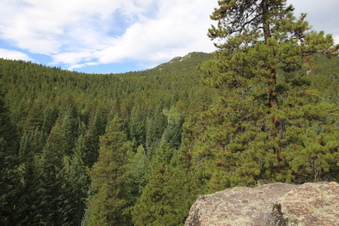 Enlarge photo 6