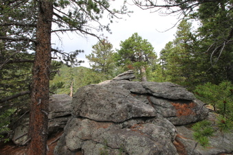 Enlarge photo 7