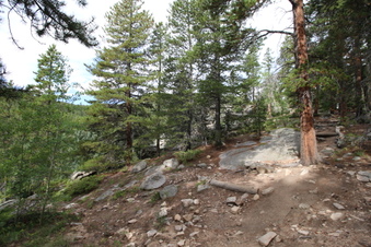 Enlarge photo 9