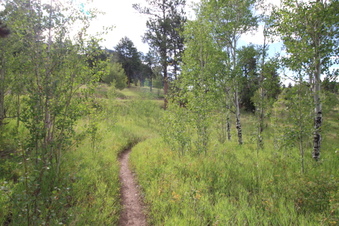 Enlarge photo 5