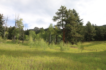 Enlarge photo 3