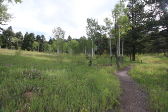 Enlarge photo 6