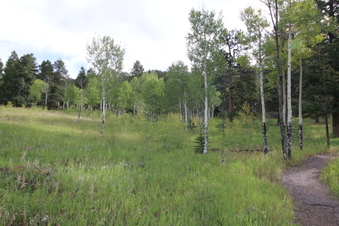 Enlarge photo 7