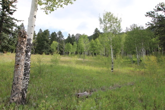 Enlarge photo 8