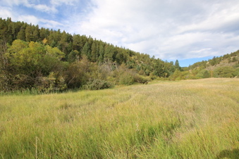 Enlarge photo 2