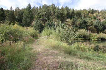 Enlarge photo 4
