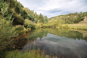 Enlarge photo 6