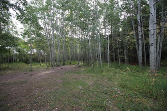 Enlarge photo 11