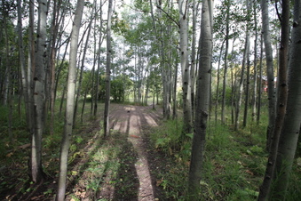 Enlarge photo 16