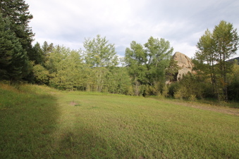 Enlarge photo 23