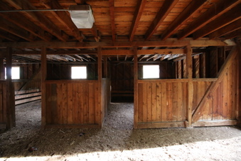Enlarge photo 31