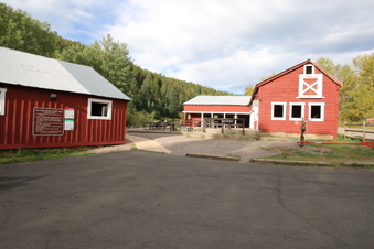 Enlarge photo 28