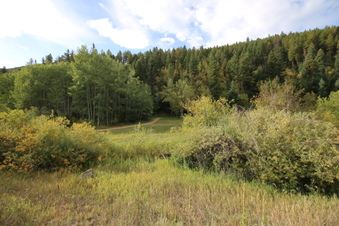 Enlarge photo 1
