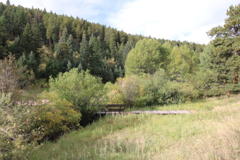 Enlarge photo 2