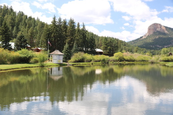 Enlarge photo 13