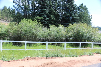 Enlarge photo 15