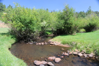 Enlarge photo 42