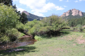Enlarge photo 44