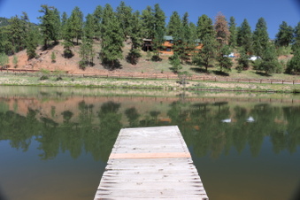 Enlarge photo 47