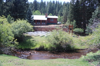 Enlarge photo 49