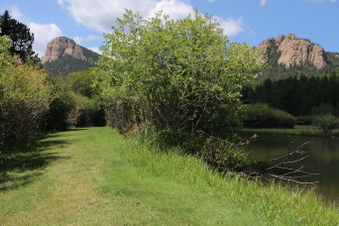 Enlarge photo 50