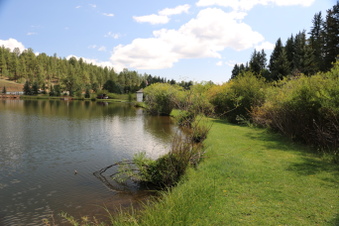 Enlarge photo 52