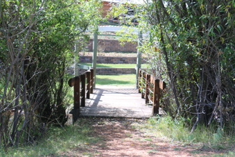 Enlarge photo 53