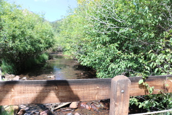 Enlarge photo 54