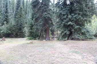 Enlarge photo 62