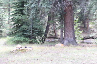 Enlarge photo 63