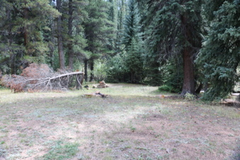 Enlarge photo 64