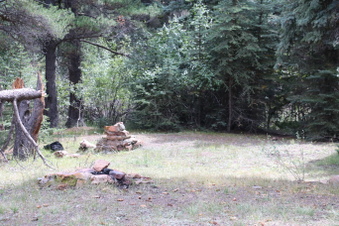 Enlarge photo 65