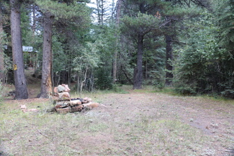 Enlarge photo 67
