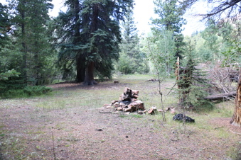 Enlarge photo 69