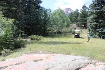 Enlarge photo 73