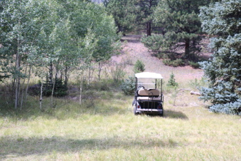 Enlarge photo 74