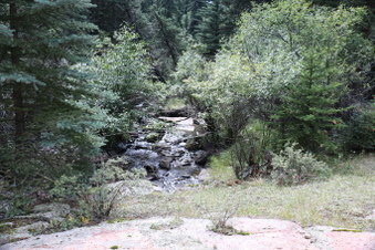 Enlarge photo 76