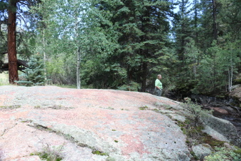 Enlarge photo 78