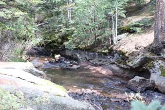 Enlarge photo 79